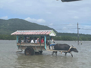 e2024年互助会旅行（石垣島）レポート3