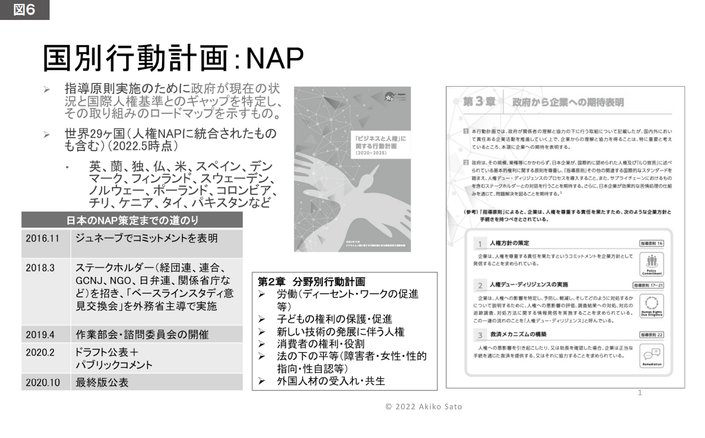 図6 国別行動計画:NAP